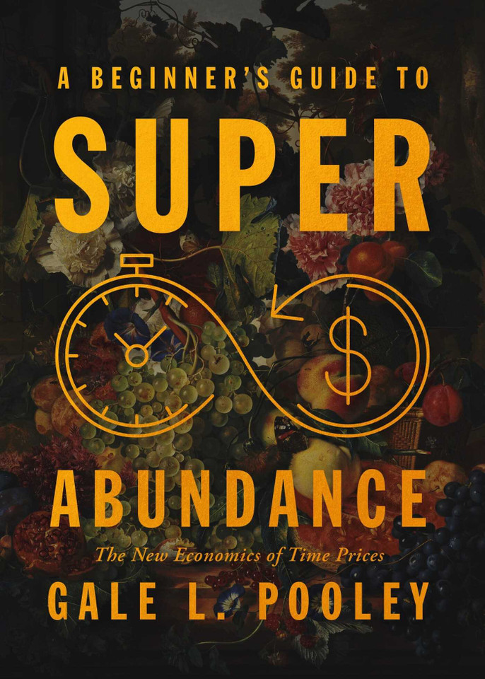 A Beginner's Guide to Superabundance: The New Economics of Time Prices book cover by Gale L. Pooley