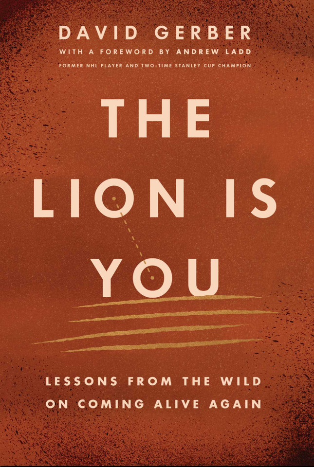The Lion is You: Lessons from The Wild on Coming Alive Again book cover by David Gerber