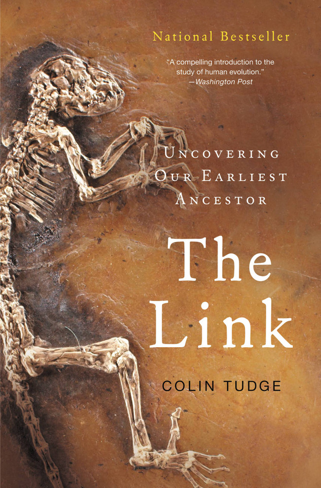 The Link: Uncovering Our Earliest Ancestor book cover by Colin Tudge