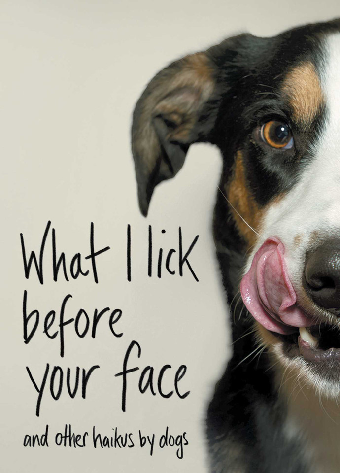 What I Lick Before Your Face: And Other Haikus by Dogs book cover by Jamie Coleman