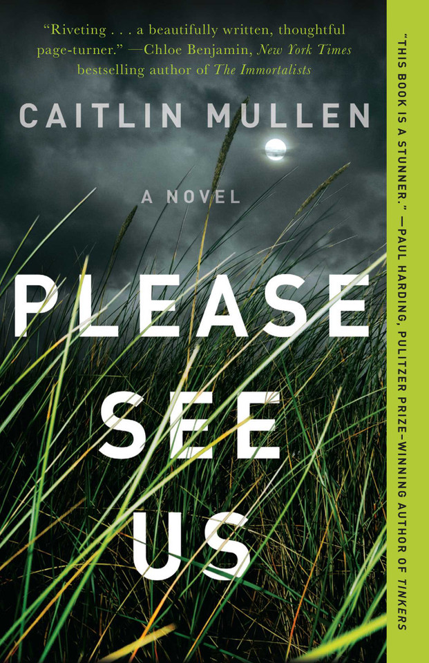 Please See Us book cover by Caitlin Mullen