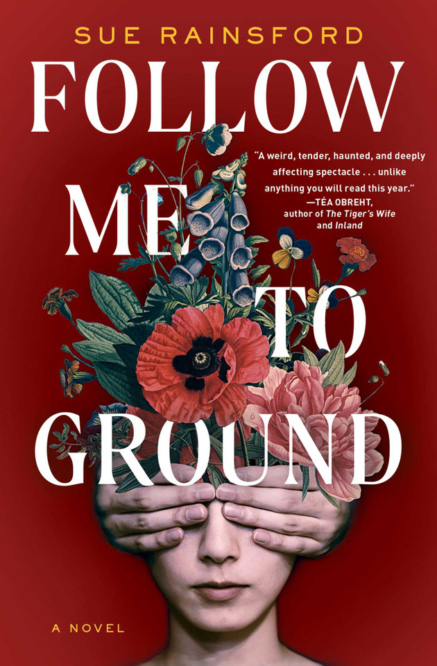 Follow Me to Ground: A Novel book cover by Sue Rainsford