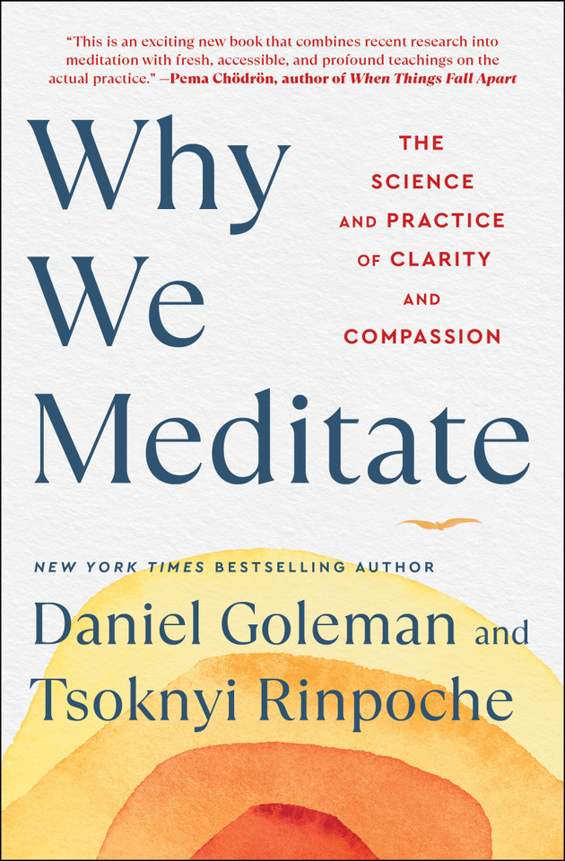 Why We Meditate: The Science and Practice of Clarity and Compassion book cover by Daniel Goleman, Tsoknyi Rinpoche