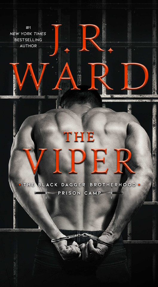 The Viper (Black Dagger Brotherhood: Prison Camp) book cover by J.R. Ward