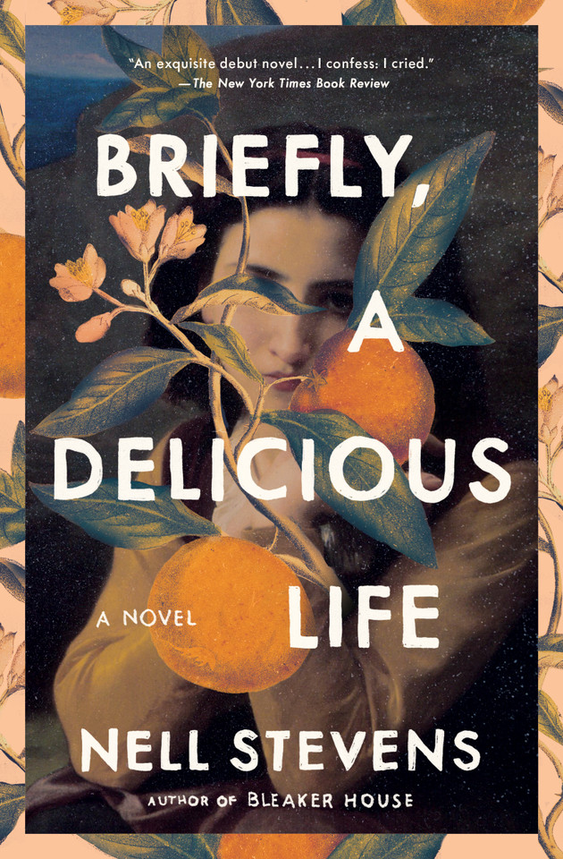 Briefly, A Delicious Life: A Novel book cover by Nell Stevens