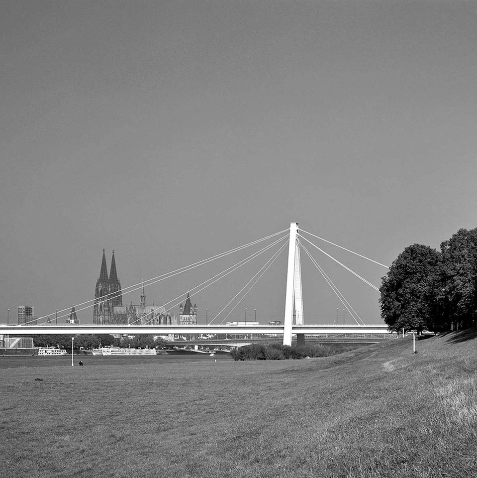 Rhine Bridges book cover by 