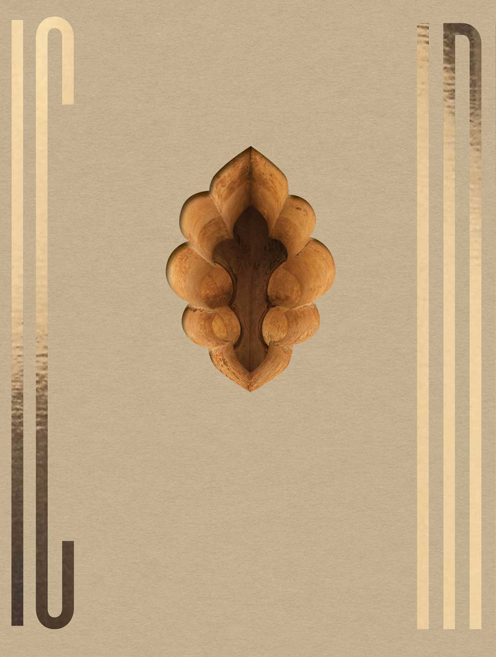 INDIA book cover by Ljubodrag Andric