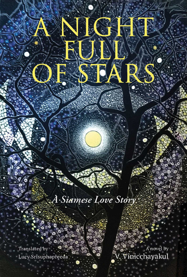A Night Full of Stars book cover by V. Vinicchayakul