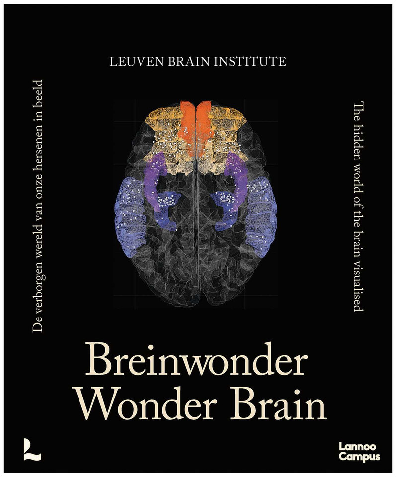Wonder Brain book cover by Mathieu Vandenbulcke, Ann Jeugd