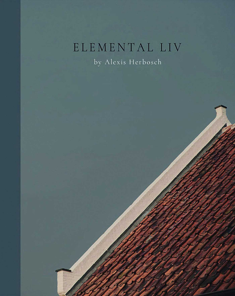 Elemental Liv book cover by Alexis Herbosch