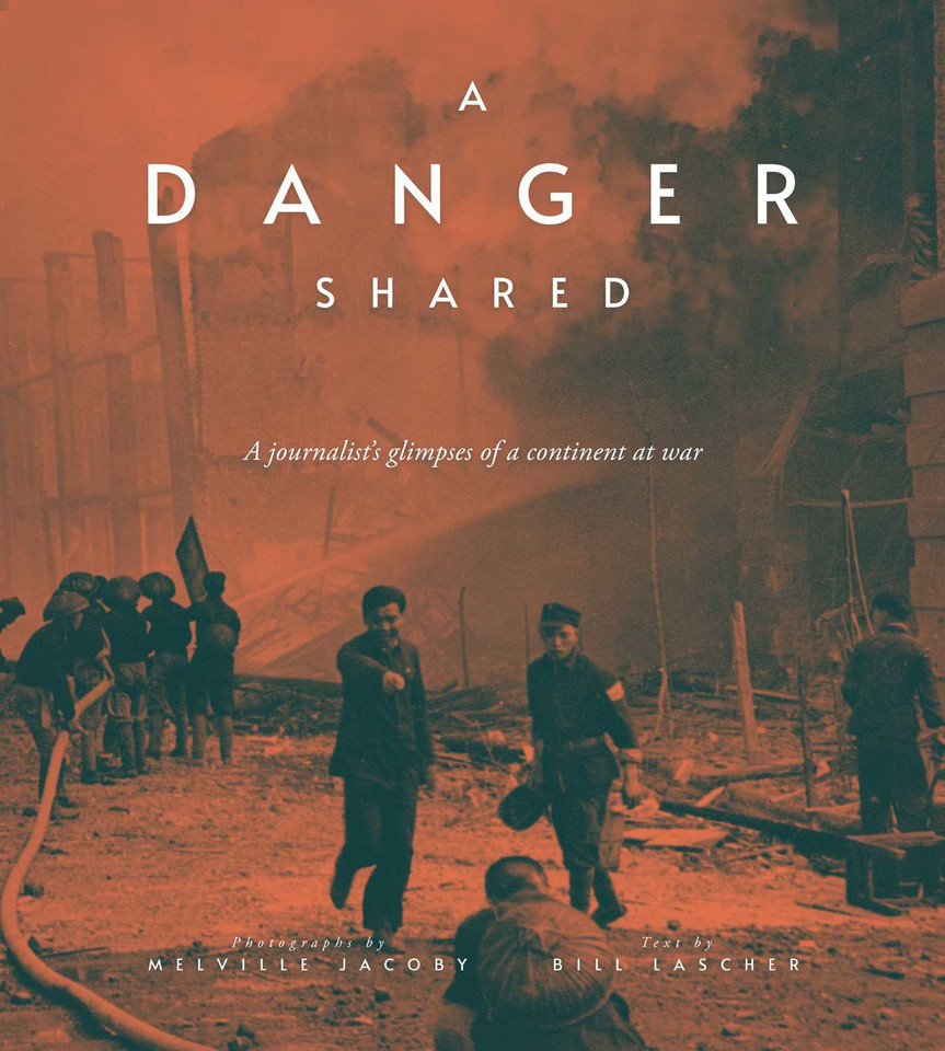 A Danger Shared: A Journalist's Glimpses of a Continent at War book cover by 
