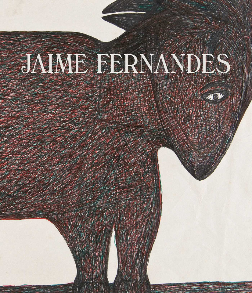 Jaime Fernandes book cover by 