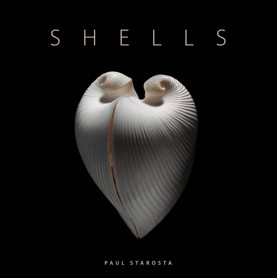 Shells book cover by Paolo Portoghesi