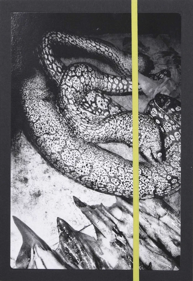 Napoli: Anders Petersen book cover by Anders Petersen