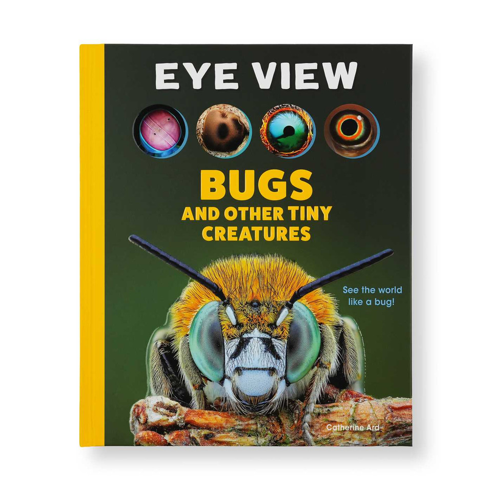 Eye View: Bugs and Other Tiny Creatures book cover by Catherine Ard