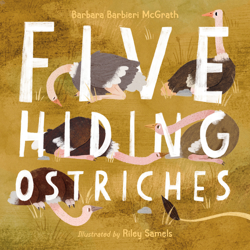 Five Hiding Ostriches book cover by Barbara Barbieri McGrath