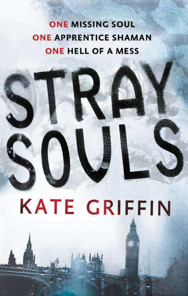 Stray Souls (Magicals Anonymous #1) book cover by Kate Griffin
