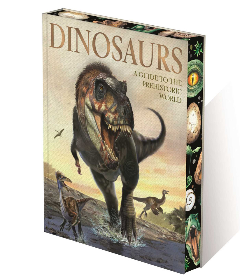 Dinosaurs: A Guide to the Prehistoric World book cover by Clare Hibbert, Claudia Martin, Ben Hubbard, Liz Miles