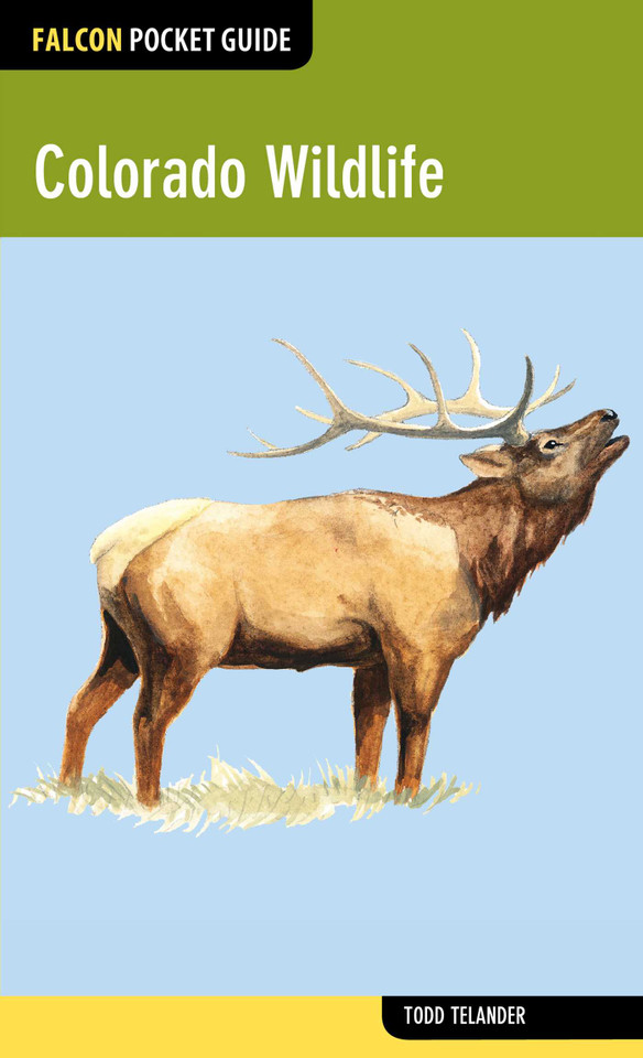 Colorado Wildlife (Falcon Pocket Guides) book cover by Todd Telander