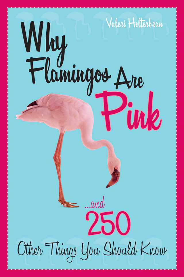 Why Flamingos Are Pink: ...and 250 Other Things You Should Know book cover by Valeri R. Helterbran