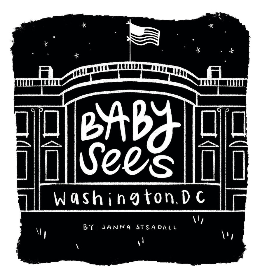 Baby Sees Washington, DC: A High-Contrast Board Book for Babies (Baby Sees) book cover by Janna Steagall