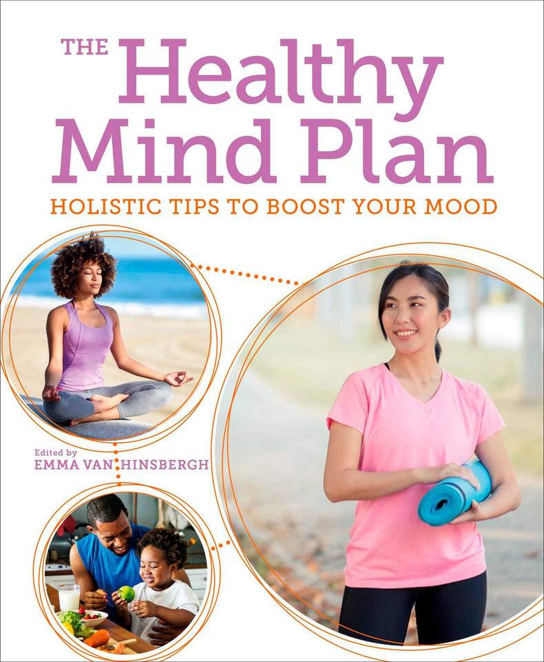 The Healthy Mind Plan: Holistic Tips to Boost Your Mood (Sirius Mind & Body) book cover by Emma Van Hinsbergh