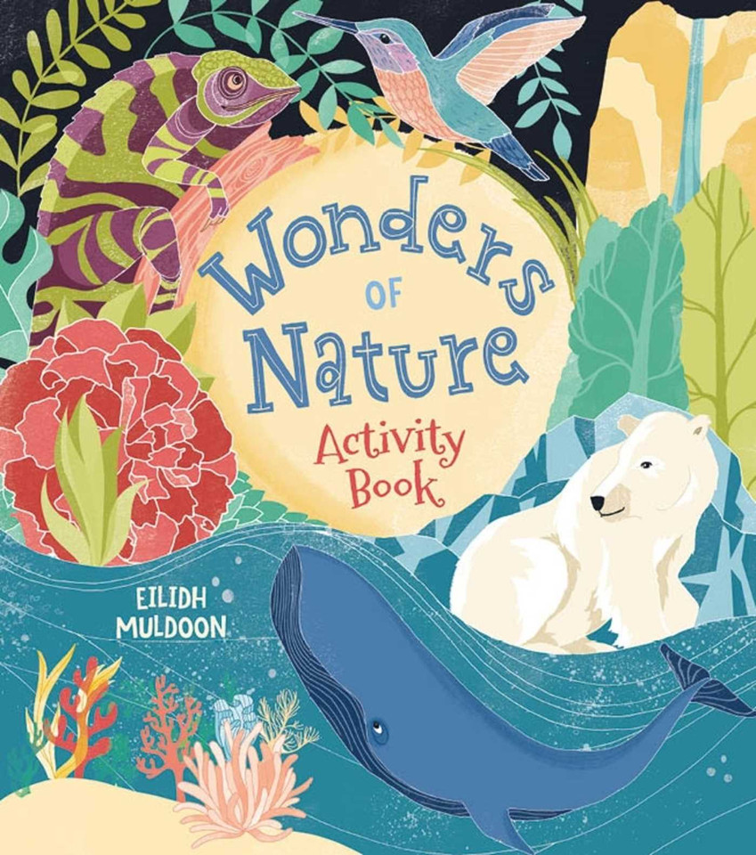 Wonders of Nature Activity Book book cover by Stead