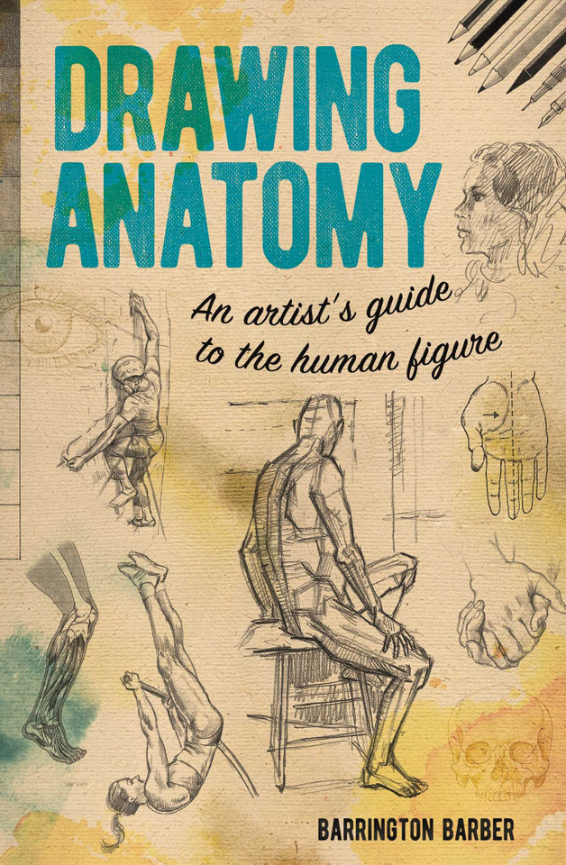Drawing Anatomy: An Artist's Guide to the Human Figure book cover by Barrington Barber