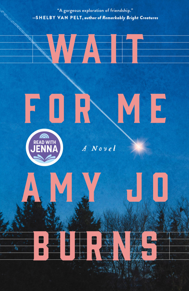 Wait for Me: A Novel book cover by Amy Jo Burns