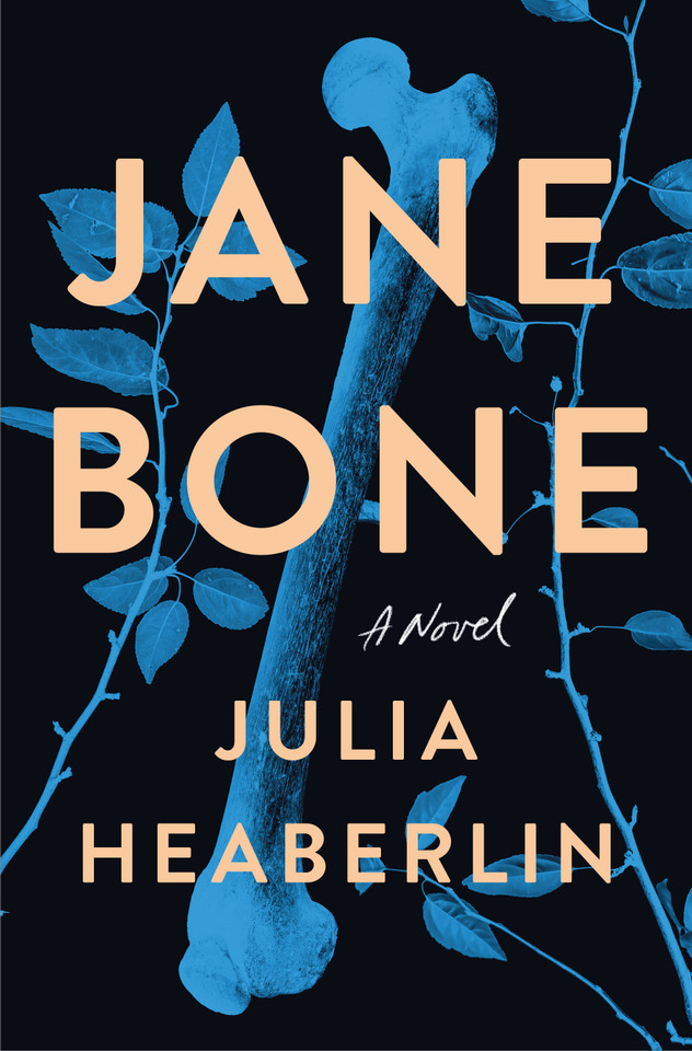 Jane Bone: A Novel book cover by Julia Heaberlin