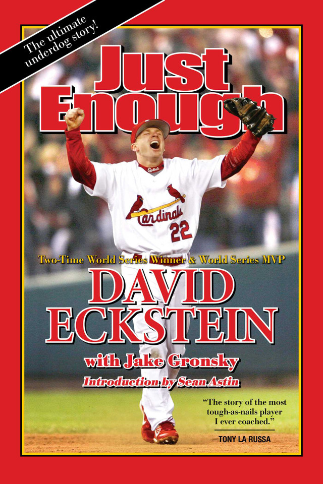 Just Enough book cover by David Eckstein