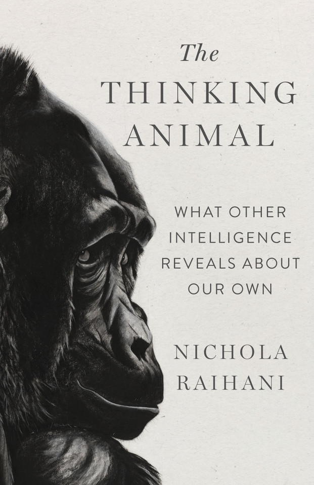 The Thinking Animal: What Other Intelligence Reveals About Our Own book cover by Nichola Raihani
