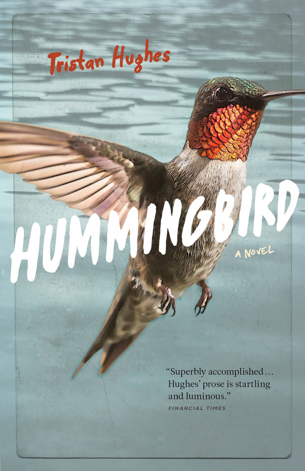 Hummingbird book cover by Tristan  Hughes