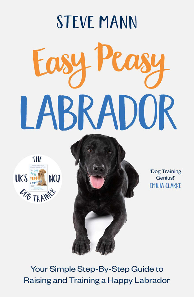 Easy Peasy Labrador book cover by Steve Mann