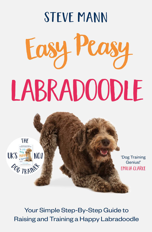 Easy Peasy Labradoodle book cover by Steve Mann