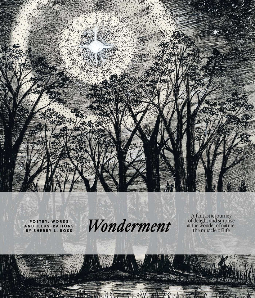 Wonderment book cover by Sherry L. Ross