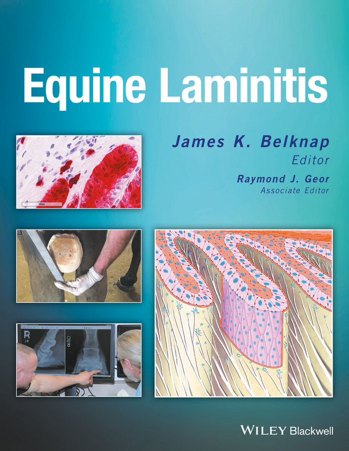 Equine Laminitis book cover by 