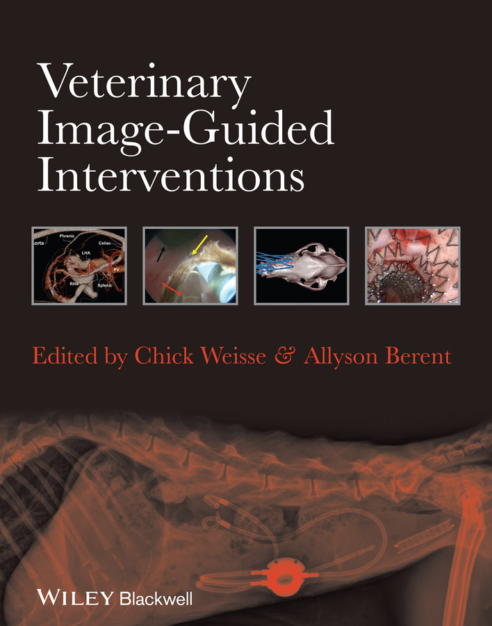 Veterinary Image-Guided Interventions book cover by 