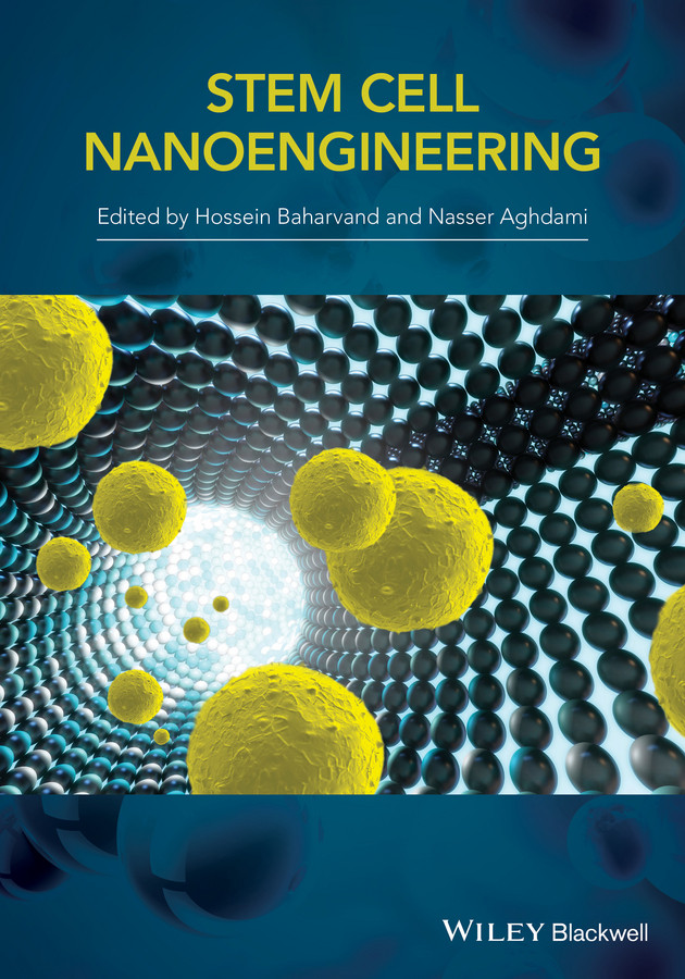 Stem-Cell Nanoengineering book cover by H. Baharvand