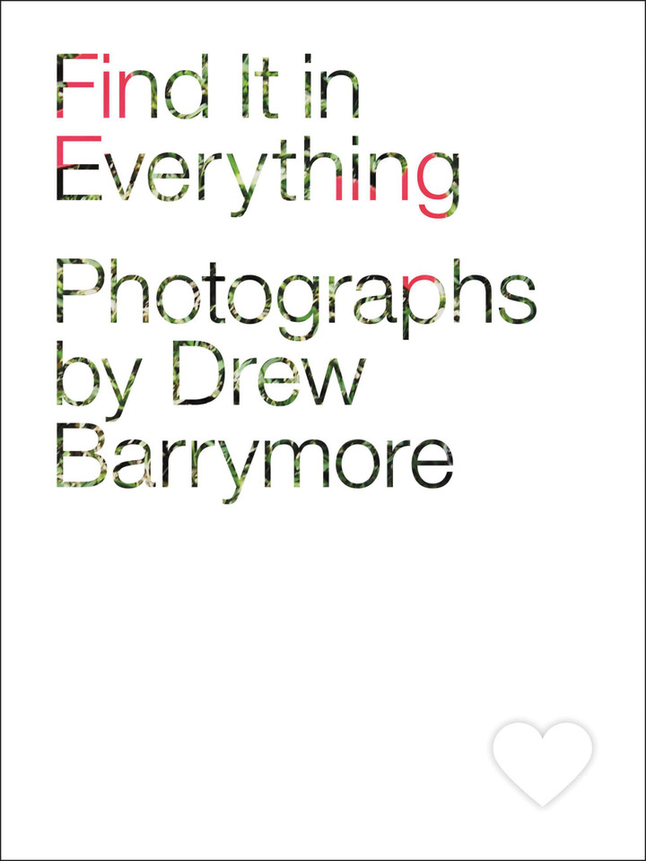 Find It in Everything book cover by 