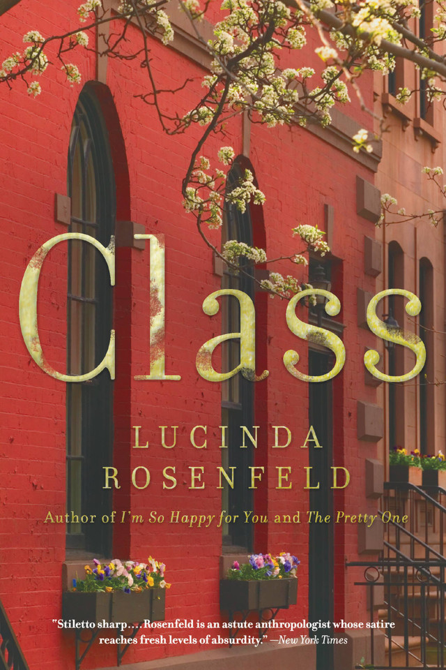 Class book cover by Lucinda Rosenfeld