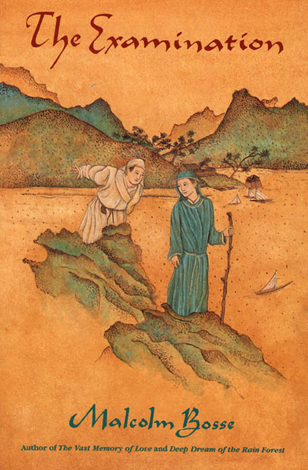 The Examination: A Novel book cover by Malcolm Bosse