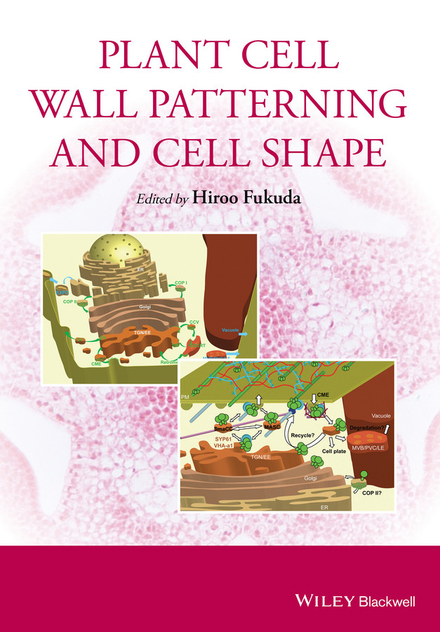 Plant Cell Wall Patterning and Cell Shape book cover by 