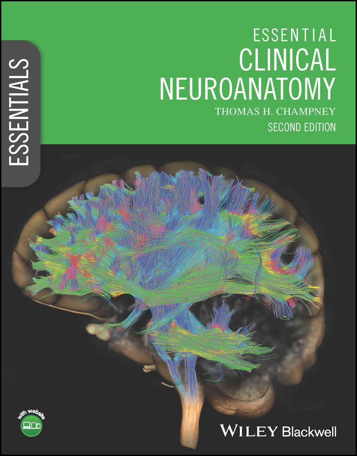 Essential Clinical Neuroanatomy (Essentials) book cover by Thomas H. Champney