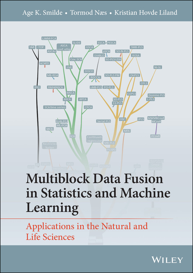 Multiblock Data Fusion in Statistics and Machine Learning: Applications in the Natural and Life Sciences book cover by Age K. Smilde, Tormod Næs, Kristian Hovde Liland