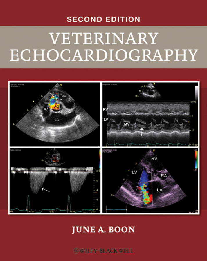 Veterinary Echocardiography book cover by June A. Boon
