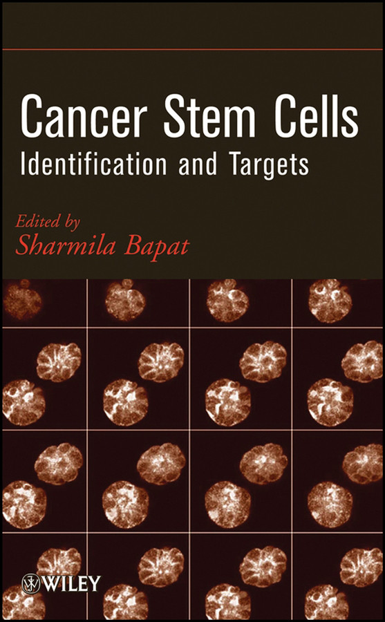 Cancer Stem Cells: Identification and Targets book cover by 