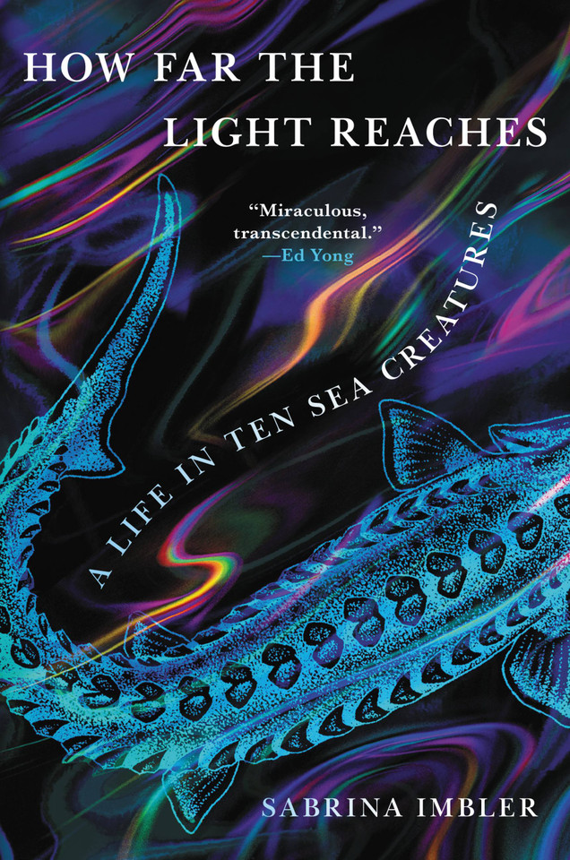 How Far the Light Reaches: A Life in Ten Sea Creatures book cover by Sabrina Imbler