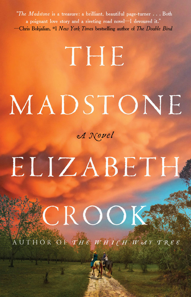 The Madstone: A Novel book cover by Elizabeth Crook