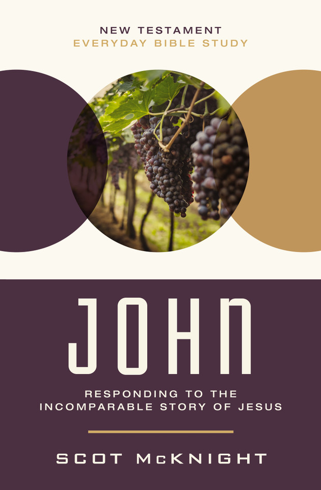 John: Responding to the Incomparable Story of Jesus (New Testament Everyday Bible Study Series) book cover by Scot McKnight